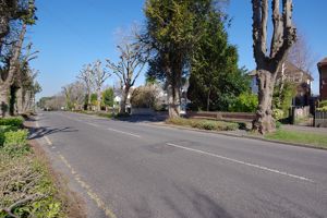 Street View- click for photo gallery